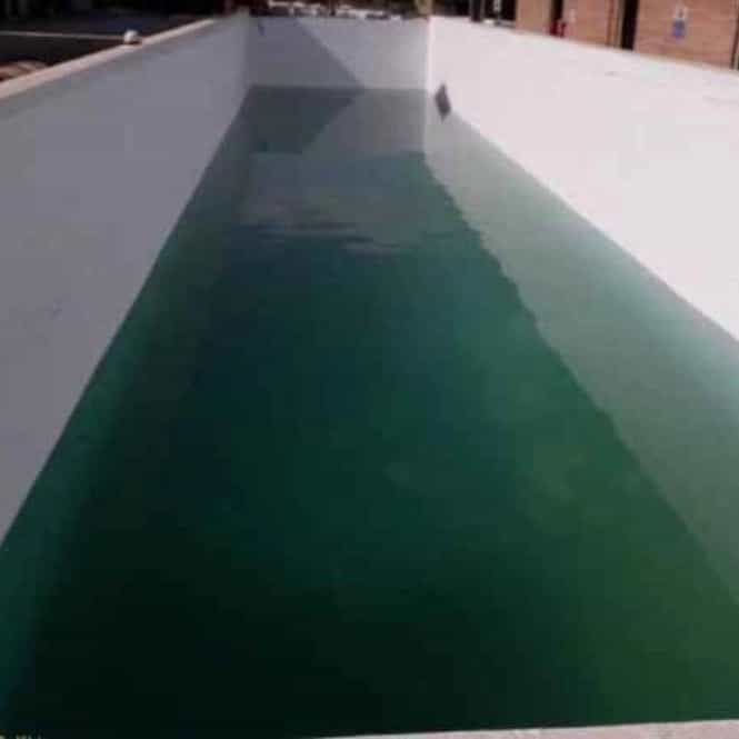 1770450337950.webp